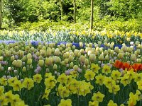 p88a6141e-3e54-4344-aab6-e461fffe0b92